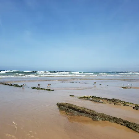 Silver Coast - Casa Da Ilha Hébergement de vacances Baleal